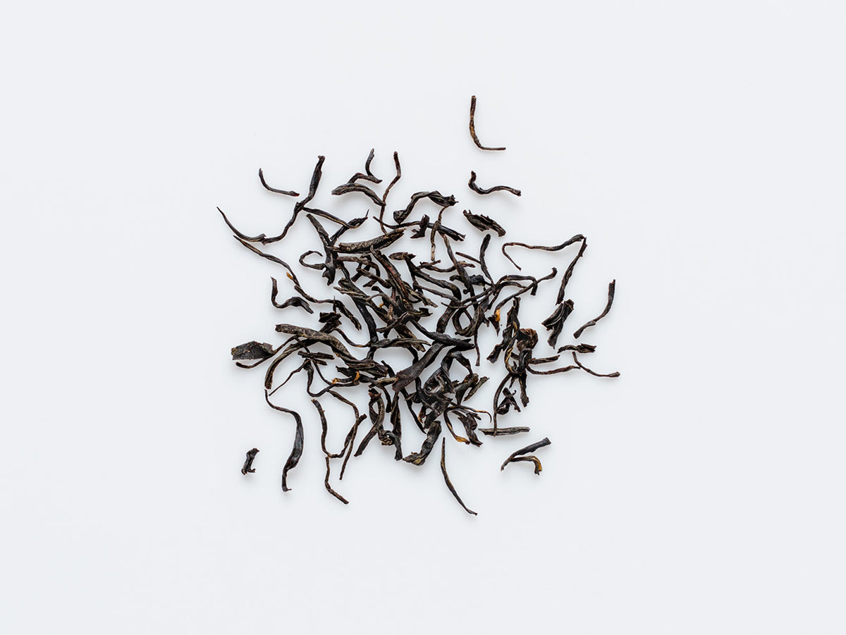 Song Red. Fujian red tea.
