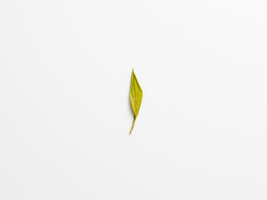 Hunan Cai Cha, green tea.