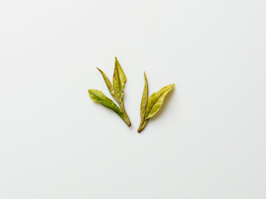 White Dragonwell