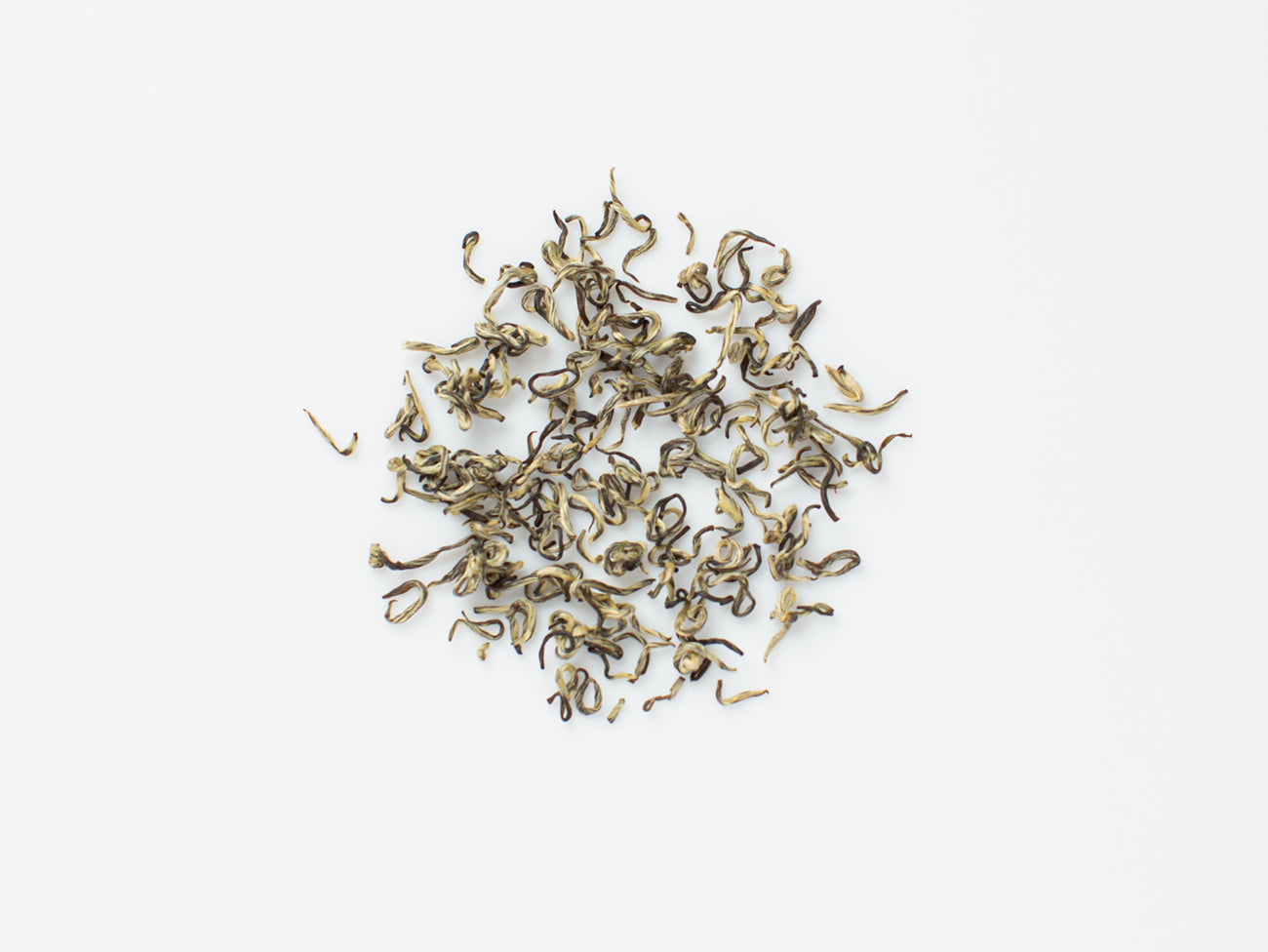 Snow Jasmine