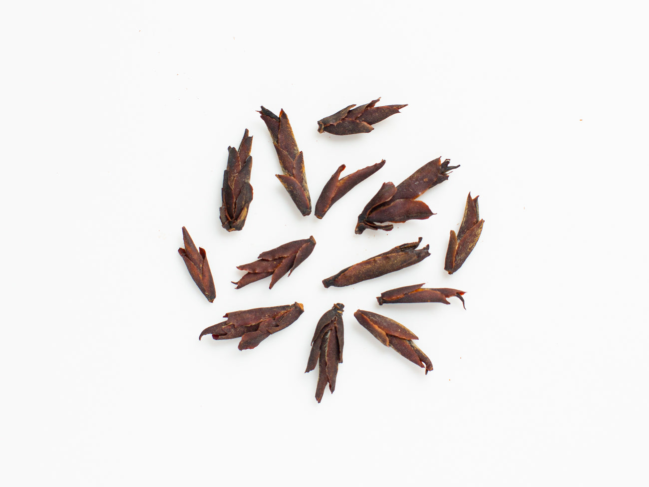 Tippy Wild Tree Yunnan Red
