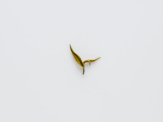 Snow Jasmine single leaf.