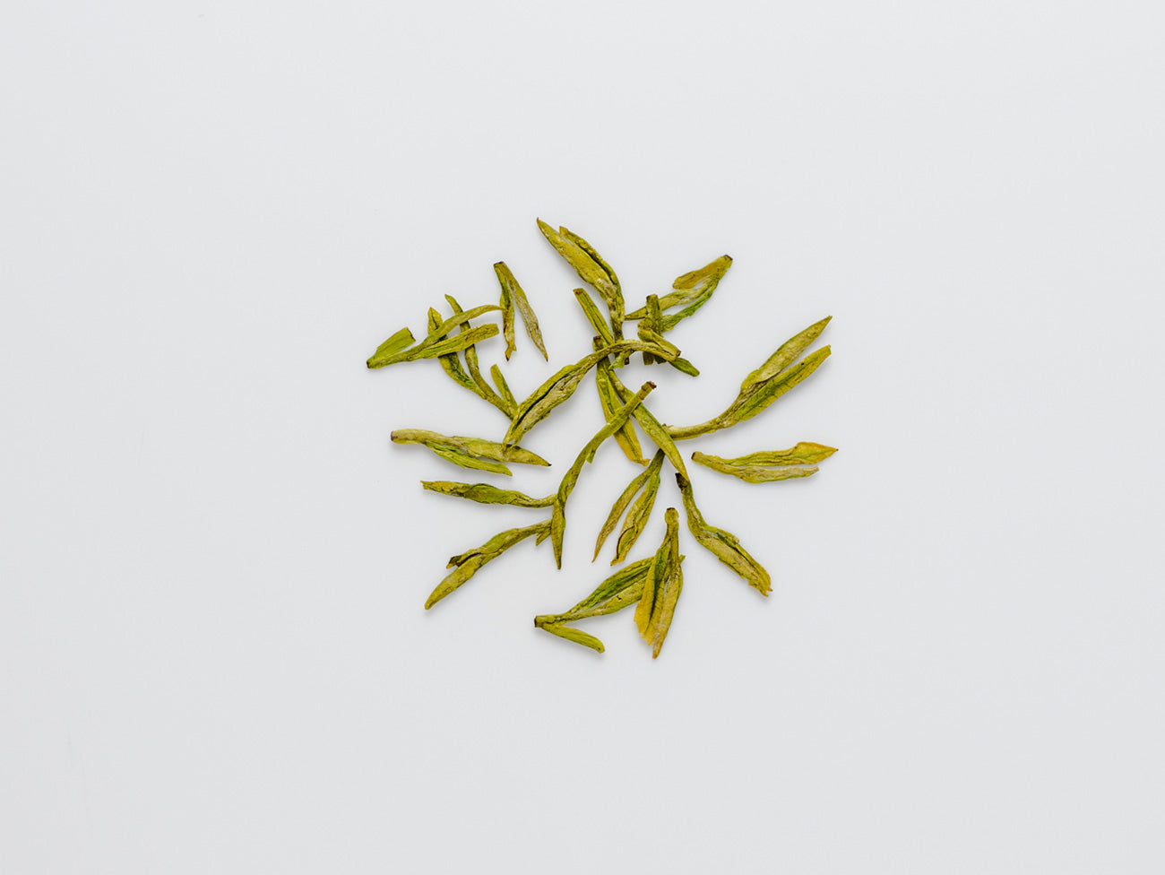 White Dragonwell 