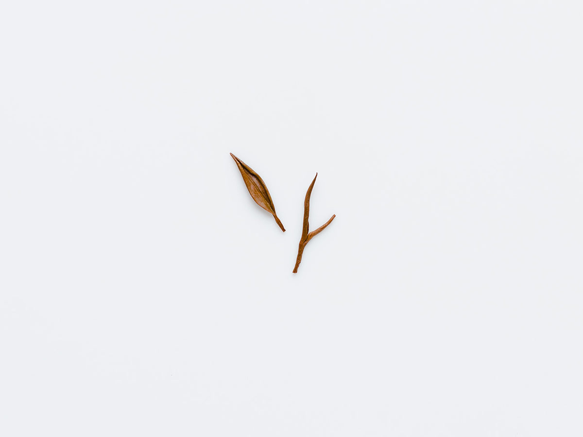Song Red. Fujian red tea.